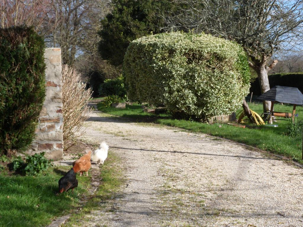 Farmhouse In An Amazing Private Park ξενώνας Βαν Εξωτερικό φωτογραφία